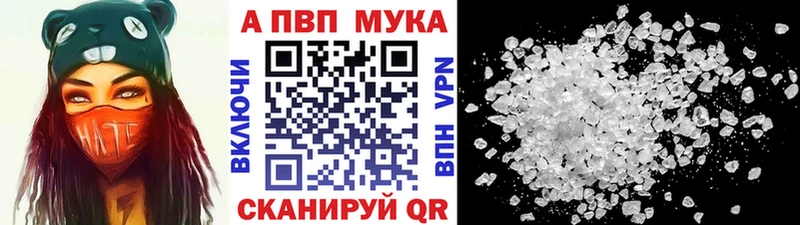 Alfa_PVP СК Североморск