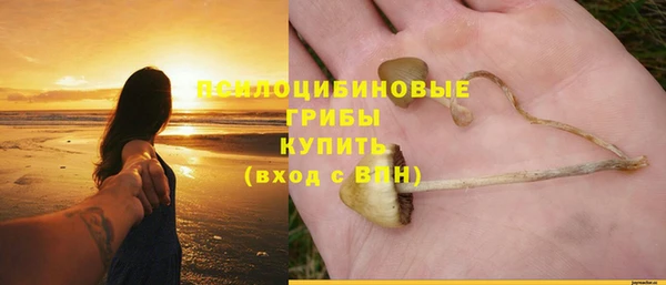 прущие грибы Абдулино