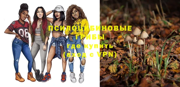 прущие грибы Абдулино