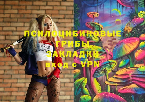 молекула духа Абинск