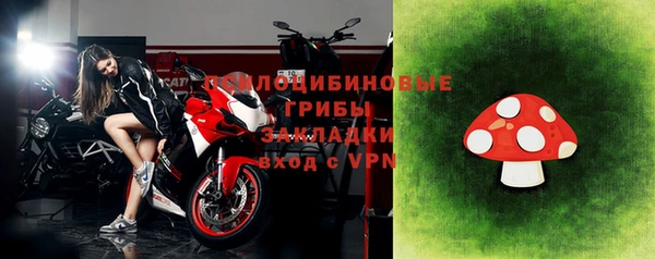 прущие грибы Абдулино