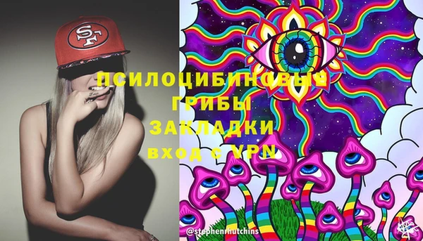 прущие грибы Абдулино
