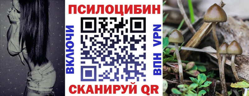мега tor  где купить наркоту  Североморск  Псилоцибиновые грибы мицелий 